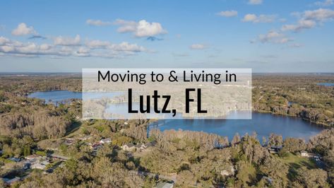 Lutz Florida, Colleges In Florida, Big Cat Rescue, Train Depot, Charter School, State Of Florida, Job Opening, Cat Rescue, School District