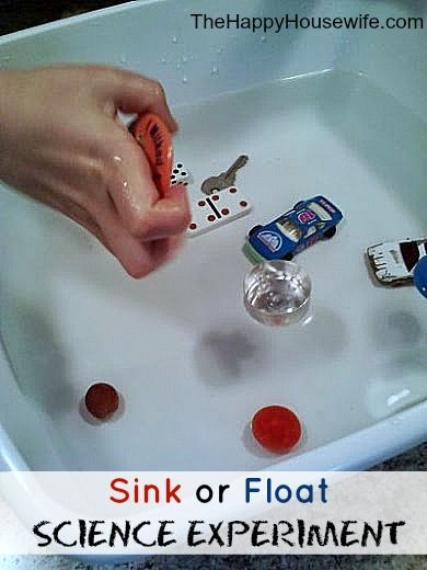 Grab some of your child’s favorite toys or Hot Wheels, fill up the tub or sink and have fun discovering which toys sink and which ones float with this activity. Sink Or Float Experiment, Kids Sink, Homeschool Science Experiments, Preschool Room, Sink Or Float, Classroom Science, Science Week, Homeschool Board, Happy Housewife