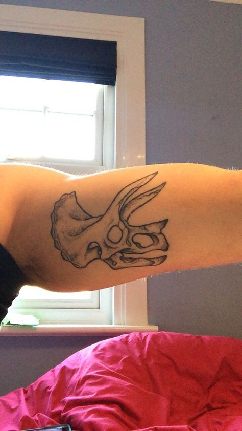 Dot Work Shading Tattoo, Dinasour Skull Tattoos, Triceratops Tattoo Design, Nostalgic Tattoo Ideas, Dino Skull Tattoo, Triceratops Skull Tattoo, Spinosaurus Tattoo, Dinosaur Skull Tattoo, Tattoo Dino