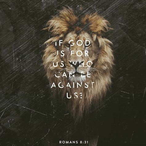 ROMANS 8:31 Romans 8:31, Ayat Alkitab, Chronicles Of Narnia, Lion Of Judah, Prayer Warrior, Bible Verse Wallpaper, Favorite Bible Verses, Walk By Faith, King Of Kings