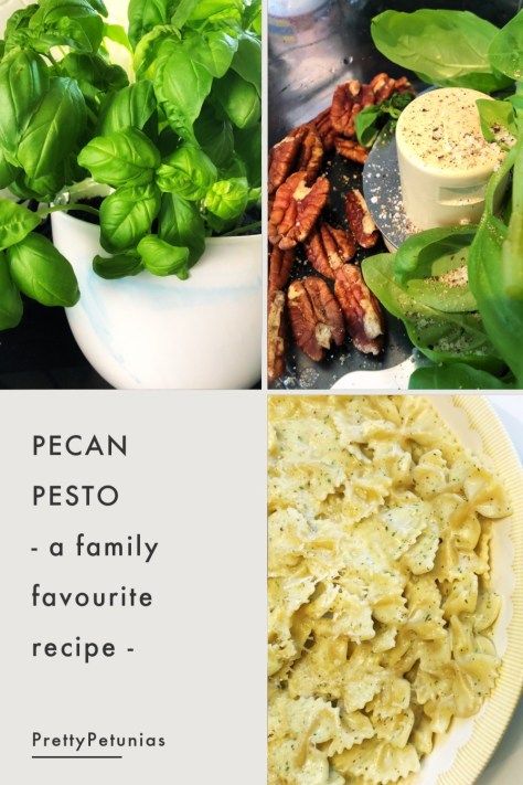 Simple Pesto Recipe, Home Made Pesto, Pecan Pesto, Roasted Pecans, How To Make Pesto, Homemade Pizza Dough, Pecan Recipes, Homemade Pesto, Home Grown