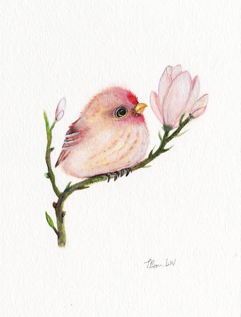 vvvvvvvvvvvvvvv Flower Bird Tattoo, Robin Bird Tattoos, Bird Sitting, Creation Art, Bird Tattoo, Hur Man Målar, Flower Bird, 수채화 그림, Pink Bird