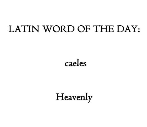 Tattoos In Latin, Learn Latin, Latin Quotes, Unique Words Definitions, Latin Phrases, Latin Word, Uncommon Words, Fancy Words, Weird Words