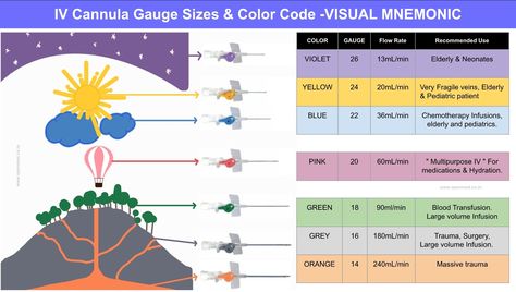 IV cannula colour coding learning trick Mnemonic Happy studies/Study material/Study life Kernig Sign, Nurse Technician, Iv Cannula, Erb Palsy, Coding Learning, Science Anatomy, Facts Science, Gauge Sizes, Medical Study