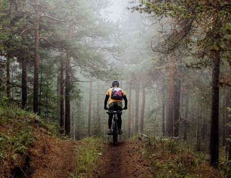 Caribou-Targhee National Forest Mountain Biking Trails Forest Mist, Powder Skiing, Truck Caps, Forest Trail, Bike Racks, Fishing Guide, Mtb Bike, Yellowstone National, Bike Trails