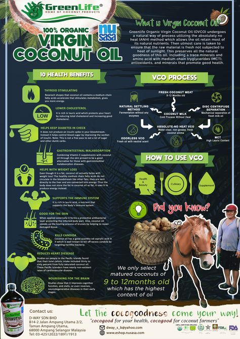 GreenLife Coconut Virgin Coconut Oil infrographics about health benefits of VCO Benefits Of Coconut, Organic Virgin Coconut Oil, Benefits Of Coconut Oil, Trace Minerals, Health And Happiness, Virgin Coconut Oil, Amino Acids, Baby Care, Health Benefits