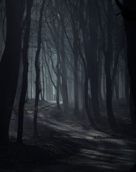 dark road Misty Forest, Dark Places, Dark Forest, Enchanted Forest, Fantasy Landscape, Belle Photo, Dark Aesthetic, Dark Art, Dark Wood