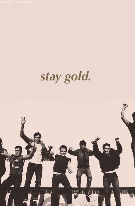 Outsiders iPhone wallpaper, stay gold my dudes The Outsiders Quotes, 80s Aesthetic Wallpaper, Aesthetic Wallpaper Quotes, The Outsiders Imagines, Stay Gold Ponyboy, The Outsiders Greasers, The Outsiders 1983, 80s Aesthetic, Quote Iphone