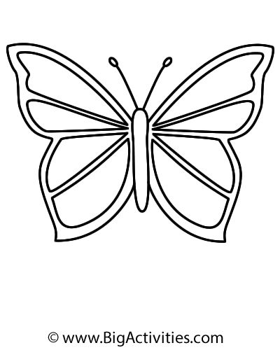 Spring - Super Hard Word Search (Butterfly) Butterfly Outline Printable, Hard Word Search, Picture Of A Butterfly, Butterfly Draw, Butterfly Stencils, Easy Butterfly Drawing, Butterfly Quilt Pattern, Butterflies Activities, Butterfly Outline