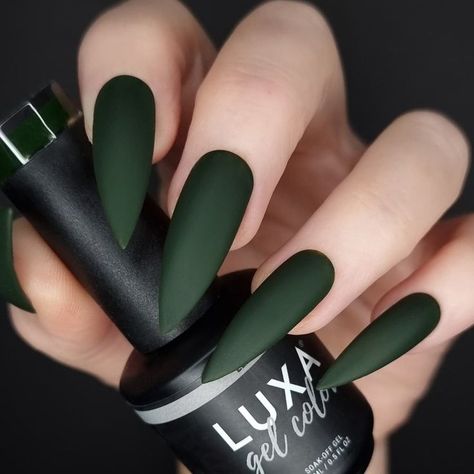 Stylish olive green nails with a smooth, glossy finish, perfect for a chic and natural look. Green Elegant Nails, Olive Green Nails, Sunset Ombre, Chic Manicure, Subtle Ombre, Ombre Fashion, Colors Of Autumn, Dark Nails, Elegant Nails