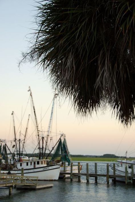 South Carolina Lowcountry, Shrimp Boat, Southern Life, Beaufort Sc, Sea Island, Paradise On Earth, Can You Be, Charleston South Carolina, A Town