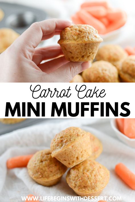 Simple Carrot Muffins, Mini Muffins Recipes Easy, Carrot Cake Mini Muffins, Healthy Mini Cupcakes, Toddler Carrot Muffins, Healthy Mini Muffin Recipes, Mini Muffins For Toddlers, Mini Muffins For Kids, Carrot Mini Muffins