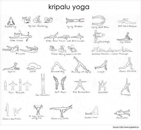 Kripalu Yoga, Kundalini Yoga Poses, Basic Poses, Ancient Yoga, Yoga Kundalini, Different Types Of Yoga, Yoga Moves, Cool Yoga Poses, Yoga For Flexibility