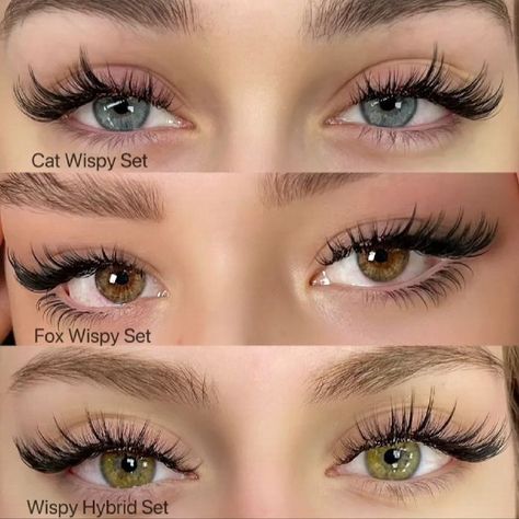 Hybrid Lash Extensions Dramatic, Hybrid Lashes Styles, Almond Lash Extensions, Eyelashes For Downturned Eyes, Lash Sets Cat Eye, Cat Wispy Lashes, Types Of Lashes Extensions Styles, Eyelash Extensions Styles For Round Eyes, Different Lash Sets