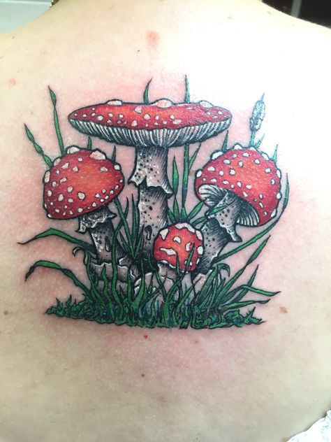 Fly agaric mushroom tattoo Mushroom Tattoo Ideas, Places To Get Tattoos, Whimsical Tattoos, Mushroom Tattoo, Bright Tattoos, Mystical Tattoos, Bug Tattoo, Mushroom Tattoos, Stylish Tattoo