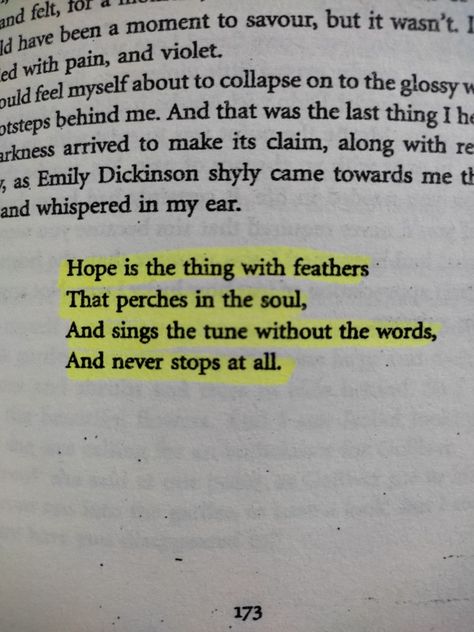 Hope Is A Thing With Feathers, English Student, Hope Is The Thing With Feathers, Stars Art, English Major, Emily Dickinson, Hope Is, Star Art, The Thing