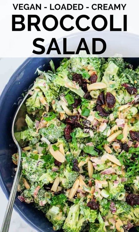 Healthy Bbq Side Dishes, Side Dishes For A Crowd, Vegan Broccoli Salad, Broccoli Salad With Cranberries, Creamy Broccoli Salad, Healthy Bbq, Salad With Cranberries, Broccoli Side Dish, Mayo Dressing