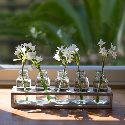 Flower Bud Vases, Mini Milk Bottles, Window Sill Decor, Small Glass Bottles, Mini Milk, Glass Milk Bottles, Mini Glass Bottles, Milk Bottles, Flower Studio