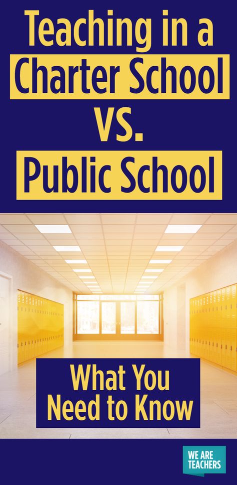 What It's Like to Teach in a Charter School vs. Public School Homestead Food, Essay On Education, Teacher Career, Teaching Class, Future Planning, Expository Essay, Teaching Online, Importance Of Time Management, School Essay