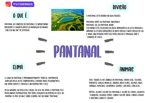 MAPA MENTAL SOBRE PANTANAL - Maps4Study Mental Map, Study Flashcards, It Works, Map