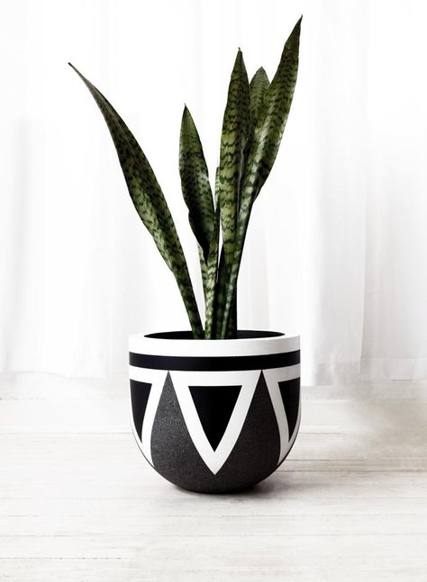 Striking the perfect balance between minimal and bold, Gold Bottom Pots designs are an ode to Africa's rich cultural landscape. Modern African Decor, Log Planter, African Pottery, Plant Pot Design, Mosaic Pots, Flower Pot Art, Plant Pot Diy, نباتات منزلية, Pot Design