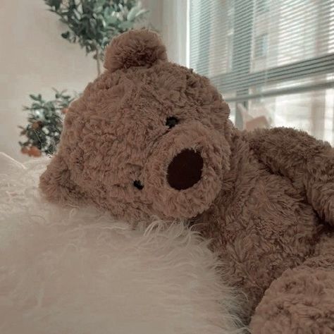 Cozy bear laying fown on a very comfy pillow Comfy Pillow, A Teddy Bear, Stuffed Animal, Teddy Bear, White