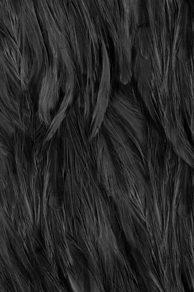 . Yennefer Of Vengerberg, Ange Demon, Texture Inspiration, Pattern Texture, Fade To Black, Black Feathers, Black Textures, Photo Images, Black Swan