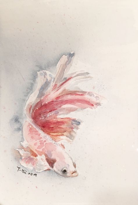 4x6 Betta fish watercolor on paper. Betta Fish Drawing, How To Draw A Beta Fish, Fish Design Drawing, Beta Fish Sketch, Betta Fish Sketch, Fish Watercolor, Beta Fish Painting, Betta Fish Painting, Beta Fish Drawing