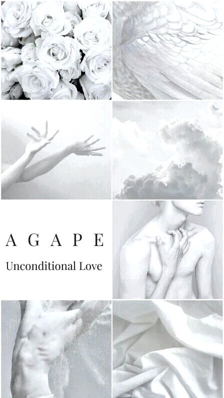 In Regards to Unconditional Love: Agape aesthetic Agape Aesthetic, Yuri On Ice Aesthetic, Ice Aesthetic, Oc Board, Yuri Plisetsky, Yuri On Ice, Spider Verse, Unconditional Love, Cabin