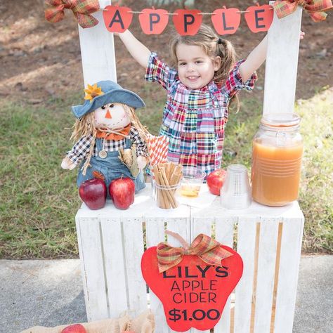 Apple Cider Stand, Cider Stand, Lemonade Stand Photography, Lemonade Stand Photo Shoot, Apple Theme Parties, Kids Play Corner, Apple Stand, Fall Apple Cider, Diy Apple Cider