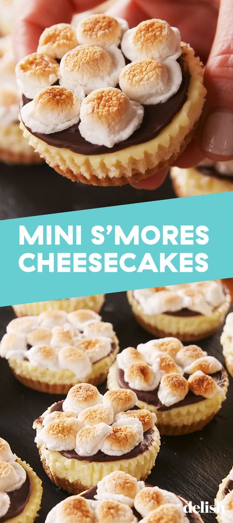 No campfire required for these Mini S'mores Cheesecakes. Get the recipe at Delish.com. #recipe #easy #easyrecipes #delish #smores #cheese #cake #cheesecake #marshmallows #chocolate #baking #dessert #dessertrecipes Smore Cheesecake, Smores Cheesecake Recipe, Mini Smores, Vegan Cheesecake Recipe, Cake Cheesecake, Dessert Simple, Easy Cheesecake Recipes, Cheesecake Desserts, Cheesecake Bites