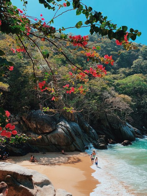 Yelapa Mexico, Puerto Vallarta Mexico, Secluded Beach, Most Beautiful Beaches, Turquoise Water, 2024 Vision, Flowering Trees, Mexico Travel, Travel Bucket