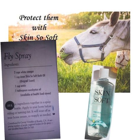 Horse Fly Spray, Fly Spray For Horses, Fly Spray, Avon Skin So Soft, Fly Repellant, Horse Fly, Eucalyptus Oil, Bath Oils, Horse Care