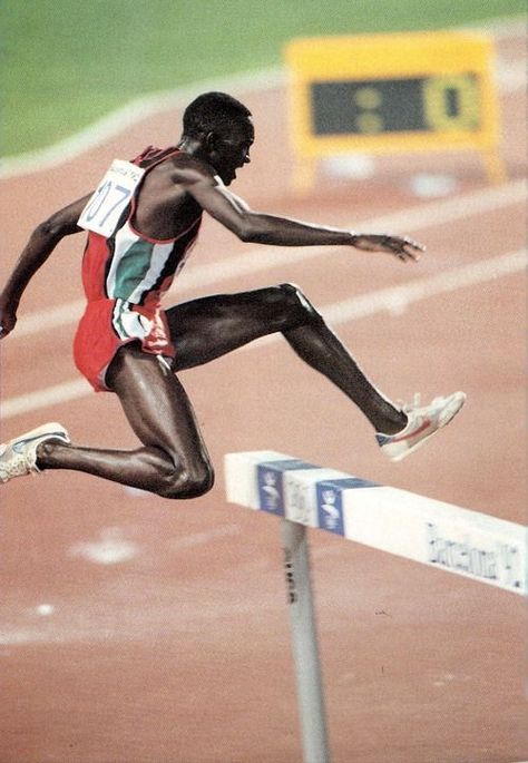 🥇 3000m steeplechase • Barcelona 1992 Olympics 3000m, People Crowd, Olympic Athletes, Olympic Sports, Action Poses, Summer Olympics, Vintage Sports, Olympic Games, Sports Team