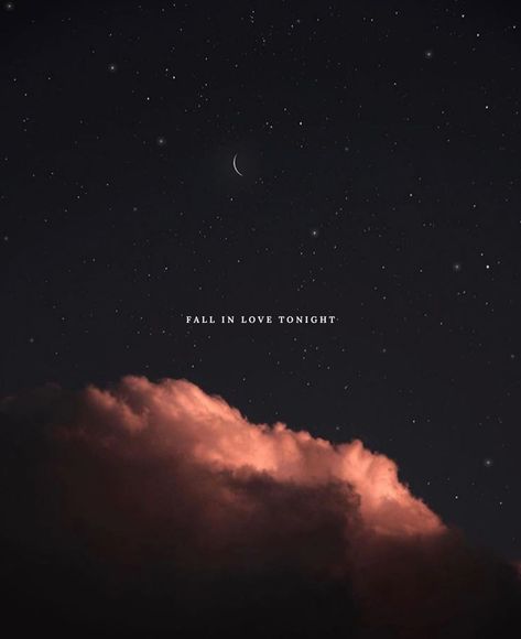 stay another hour on Instagram: “// lets fall in love tonight 🌒 📸 by @visualldreams //” Tonight Quotes, Wallpaper Quotes, For Life, Painting & Drawing, Falling In Love, Fall In Love, I Want, In Love, Paintings