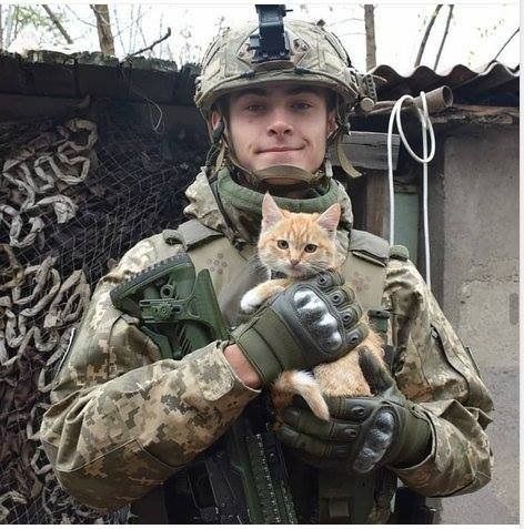 Armed Forces of Ukraine Men With Cats, Military Aesthetic, Army Humor, Hot Army Men, Army Pics, A Soldier, Army Men, Masked Man, Military Gear