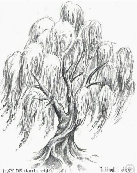 Weeping Willow Tattoo, Willow Tree Tattoo, Willow Tree Tattoos, Weeping Willow Tree, Tree Tattoo Designs, Tree Sketches, Weeping Willow, Tree Illustration, Watercolor Trees