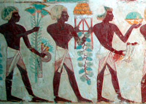 Mandragora fruit, (Circa) 1400 BCE, Central figure presenting Mandrake fruit, South Wall, Tranverse Chamber, The tomb of Userhat , TT56, Sheikh Abd el-Qurna, 18th Dynasty. -Detail Temple Of Hathor, Egyptian Painting, Record Painting, Valley Of The Kings, Egyptian Symbols, Egyptian History, Ancient Egyptian Art, Egyptian Gods, Egyptian Art