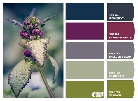 Plum Decor, Colour Pallettes, Minimalist Dekor, Colour Mixing, Colour Inspiration, Color Palate, Color Balance, Trendy Kitchen, Kitchen Paint