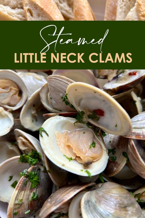 Steamed Little Neck Clams piled up next to slices of bread Cherry Stone Clams Recipes, Little Neck Clam Recipes, Clam Recipe, Steamed Clams, Fancy Dishes, Delicious Seafood Recipes, Seafood Recipe, Clam Recipes, Cooking Seafood