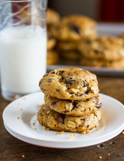 Peanut Butter Oatmeal Chocolate Chip Cookies  {Pinch of Yum} Peanut Butter Pretzel Cookies, Peanut Butter Oatmeal Chocolate Chip, Peanut Butter Oatmeal Chocolate Chip Cookies, Bakery Chocolate Chip Cookies, Milk Chocolate Chip Cookies, Pretzel Cookies, Pinch Of Yum, Peanut Butter Pretzel, Mince Pie