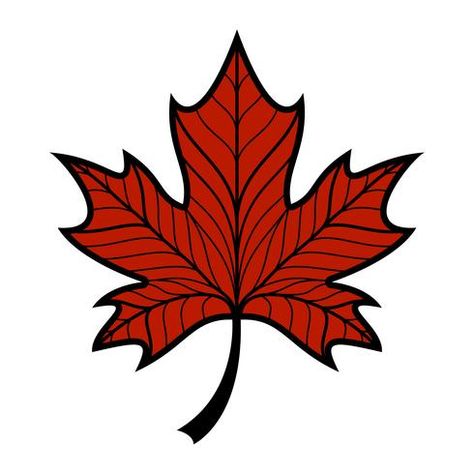 Leaf Design Logo, Maple Leaf Vector, Maple Leaf Drawing, Carving Drawing, Leave Logo, Maple Leaf Logo, Canada Logo, Sleeping Dragon, Leaf Vector