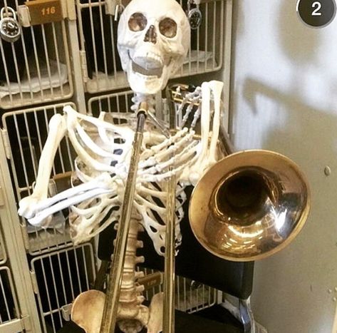 Trombone Aesthetic, Jazzy Core, Trombone Art, Band Aesthetic, Band Jokes, Strange Music, A Night At The Opera, Grunge Band, Band Kid