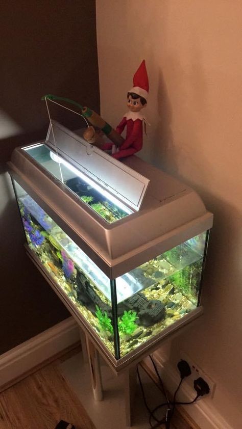 Fishing Elf On The Shelf, Elf Fishing, Elf Fun, Going Fishing, On The Shelf, Fish Tank, Merry And Bright, Christmas Spirit, Elf On The Shelf