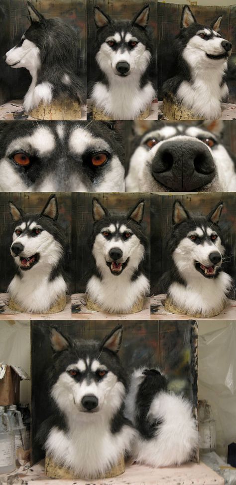 HUSKYYYYY by Crystumes on DeviantArt Husky Fursuit, Husky Costume, Wolf Base, Fursuit Tutorial, Wolf Costume, Fursuit Head, Adornos Halloween, Animal Costumes, Animal Masks