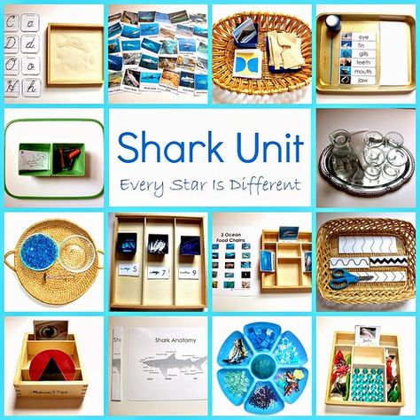 Shark Activities, Fish Activities, Ocean Unit, Ocean Activities, Montessori Ideas, Themed Activities, Theme Activity, Preschool Themes, Tot School