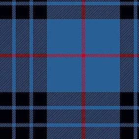 Clan Mackay, Mackay Tartan, Floral Texture, Blue Tartan, Tartan Design, Tartan Fabric, Scottish Clans, Weaving Textiles, Spring Fabric