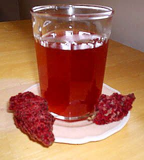 Recipes Using Sumac, Recipes With Sumac Spice, Sumac Lemonade, Chicken Sumac Recipe, Sumac Spice How To Make, Forage Recipes, Native Medicine, Future Skills, Staghorn Sumac