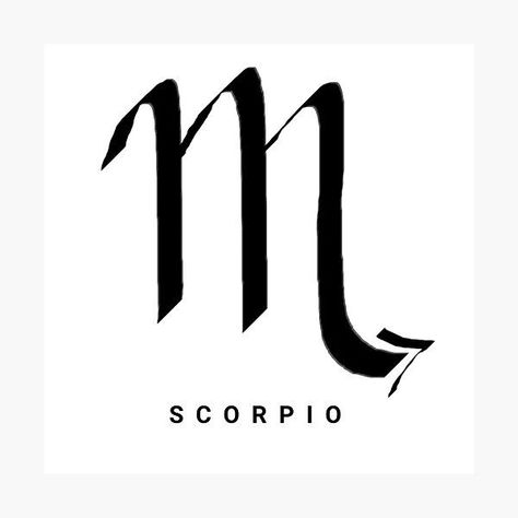 Happy Birthday Scorpio, Birthday Scorpio, Aquarius And Pisces, Scorpio Astrology, As Above So Below, Current Design Trends, Vernal Equinox, Astrological Signs, Sagittarius Capricorn