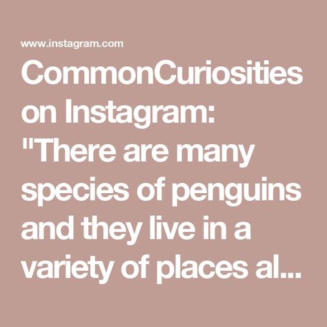 CommonCuriosities on Instagram: "There are many species of penguins and they live in a variety of places all within the Southern Hemisphere! 🐧 🐧🐧
………………………………………..
We’ve got you covered with all the unusual questions and answers! Head on over to the website for more information and other fun facts 💡 link in bio
………………………………………..
#commoncuriosities #funfact #funfacts #penguin #southernhemisphere #knowledgeispower #themoreyouknow #penguinfacts #penguins #penguinhabitat #penguin" Penguin Facts, Penguin Species, Knowledge Is Power, Questions And Answers, The More You Know, They Live, Question And Answer, Fun Fact, Penguins